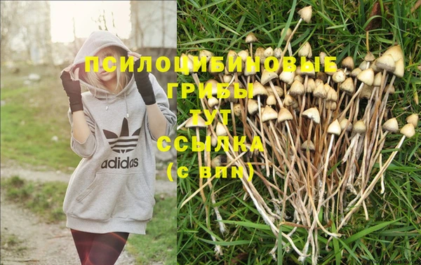 прущая мука Лагань