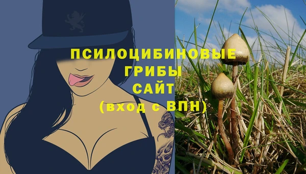 марки lsd Лабытнанги