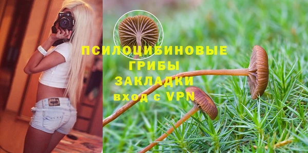 марки lsd Лабытнанги