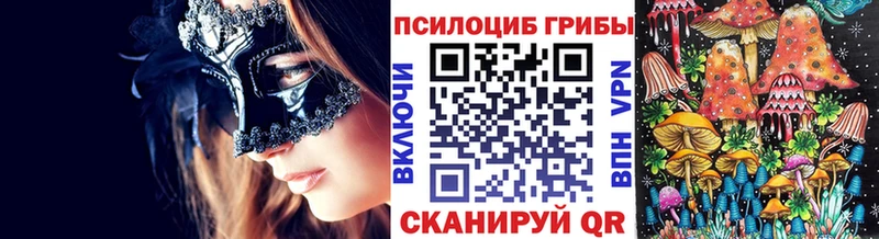 Купить закладки  Светлый  Галлюциногенные грибы прущие грибы 