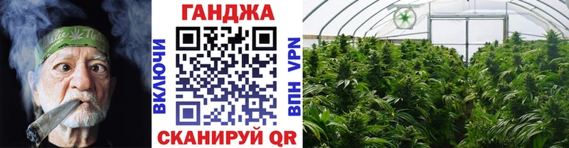 Конопля индика  Купить закладки  Светлый 